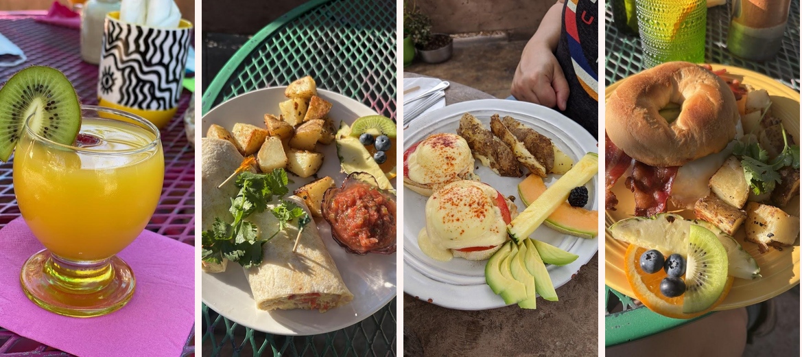 The Park House Gallery Image 2