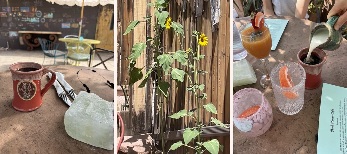 The Park House Gallery Image 6